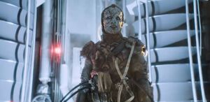 Tzim-Sha on Ranskoor Av Kolos.