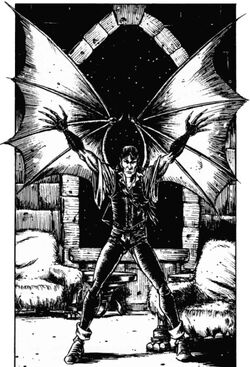 Black Flyer