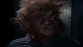 Crystal's Mom Cat Creature