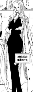 Hina's initial outfit in the manga.