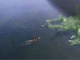 Green Mist