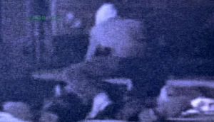 Animalcm04.jpg (76 KB) Animal in the dash cam footage, lingering around Rodriguez's body.