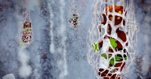 Sparratus & the Other Saved Spider Soldiers.png (506 KB) Sparratus and Spider Soldiers caught in Spinlyn's webs