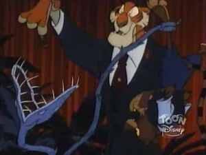 Shere Khan feeding his carnivorous plants.