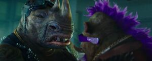 Bebop and Rocksteady (Out of the Shadows) 02