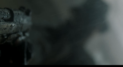 Doe Shadow.png