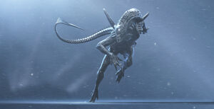 A Warrior in Alien vs. Predator: Requiem.