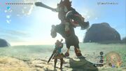 Lynel-attack