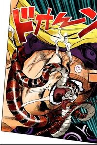 Melone being bitten by a snake.