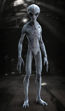 grey alien full body