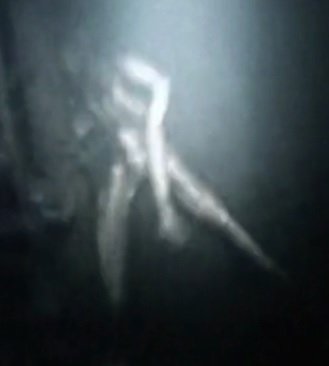 the blair witch project 2016 wiki the blair witch project 2016 wiki