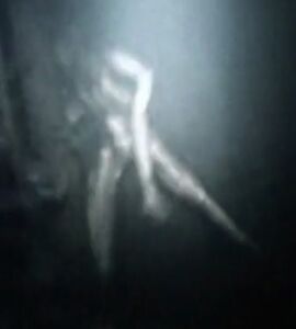 Blair Witch sighting caught on video.