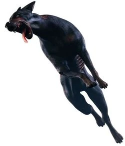 Cerberus ORC Render.jpg (8 KB)