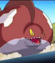 Close up view of Susshi.