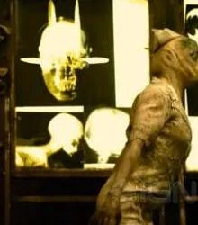 The Missionary's X-Ray.jpg (10 KB) An x-ray of the Missionary's head in Silent Hill: Revelation.