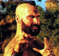 Street Fighter the Movie, but only when Zangief 