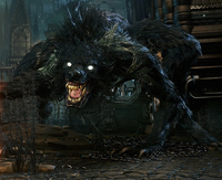 Scourge Beast Bloodborne