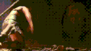 Hercules defeats the lion.gif (2.84 MB) The Nemean Lion’s defeat.