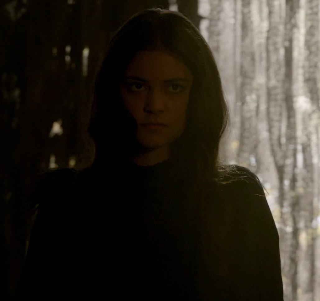 The Hollow Villains Wiki Fandom