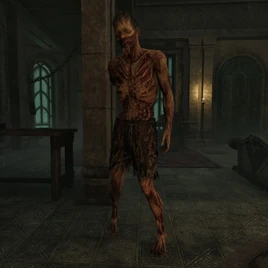 Elder Scrolls - Uncle Leo (Remastered)