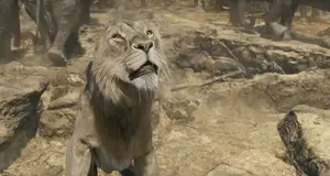 Taka watches Sarabi heave a beehive into a herd of elephants