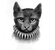 Scourge in Secrets of the Clans