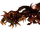 Centipede Demon
