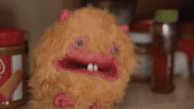 Horrifying hermster attack