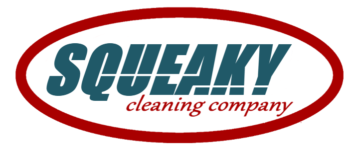 Squeaky clean store