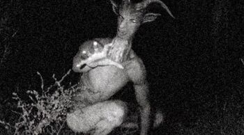 Goatman-5