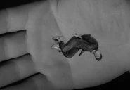 Peter Craig's dead body.png (790 KB) Craig's dead body in the palm of the giant's hand.