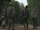 Claimers (The Walking Dead)
