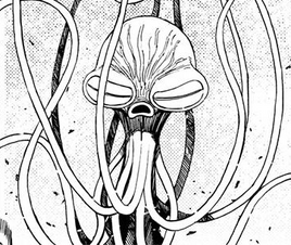 True Form