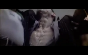 Pink imagining himself rotting.