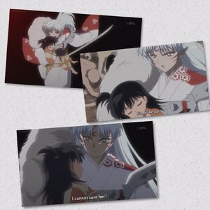 Sesshomaru discovers Rin has died a 2nd time