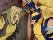 Wolverine fights Sabretooth again.