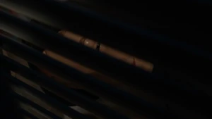 Kai Veneer 12.jpg (47 KB)