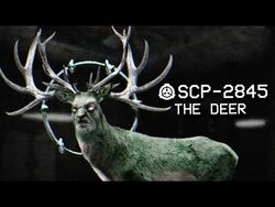 Parte 2, parte 1: @Saturn Deer no copinho @Murphy law @ta @SCP