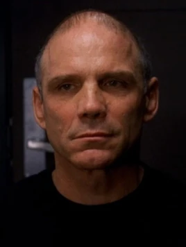 VincentPerotta infobox