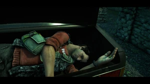 De-Pleur-captured.jpg (168 KB) De Pleur being captured by Ajay (determinant).