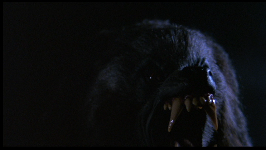 Beware the Horror Blog — Night of the Werewolf (1981)