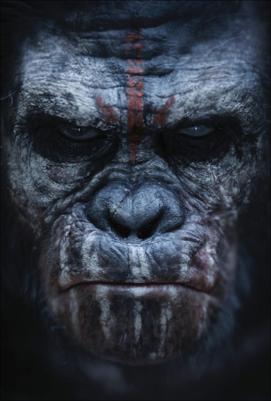 dawn of the planet of the apes koba vs caesar