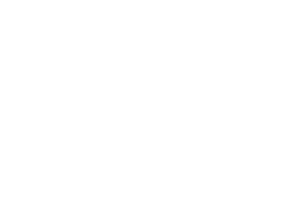 Fireflieslogo white