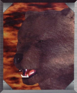 Kuma(T2)1.jpg (34 KB)