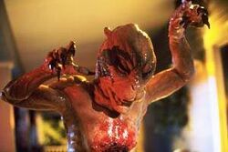 Sleepwalkers | Villains Wiki | Fandom