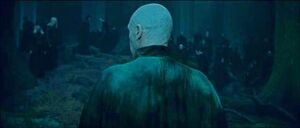 Voldemort forest