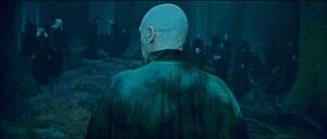 Lord Voldemort and his Death Eaters having taken over the Acromantula colony after driving out the Acromantulas