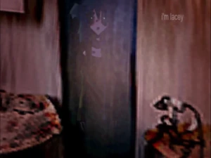 Lacey looking at the mirror (1/2).