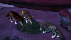 Widco drinking with his gang