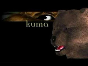 Kuma T2.jpg (8 KB)